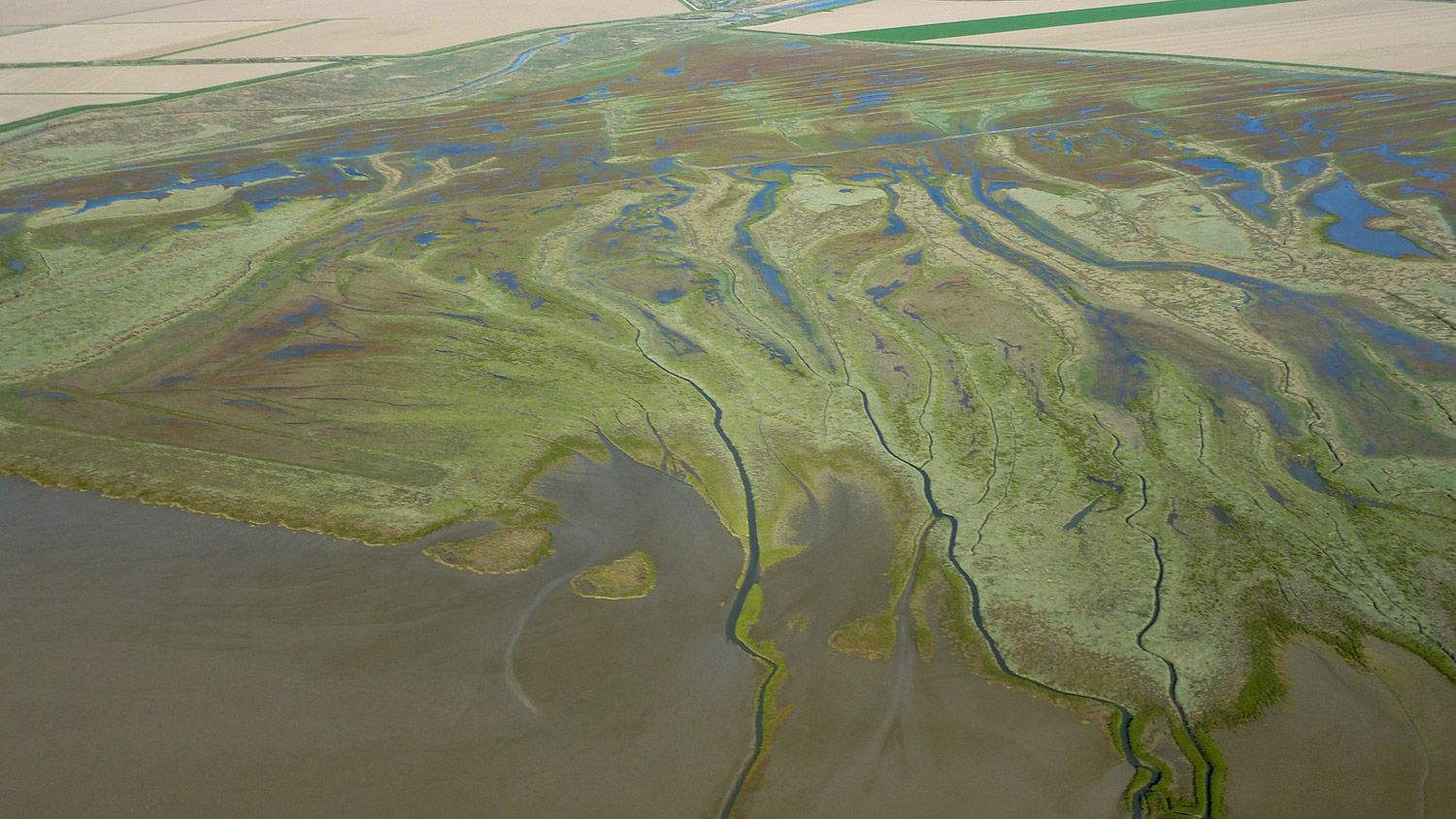 Aerial view of the mudflats – Baie de l’Aiguillon LIFE project