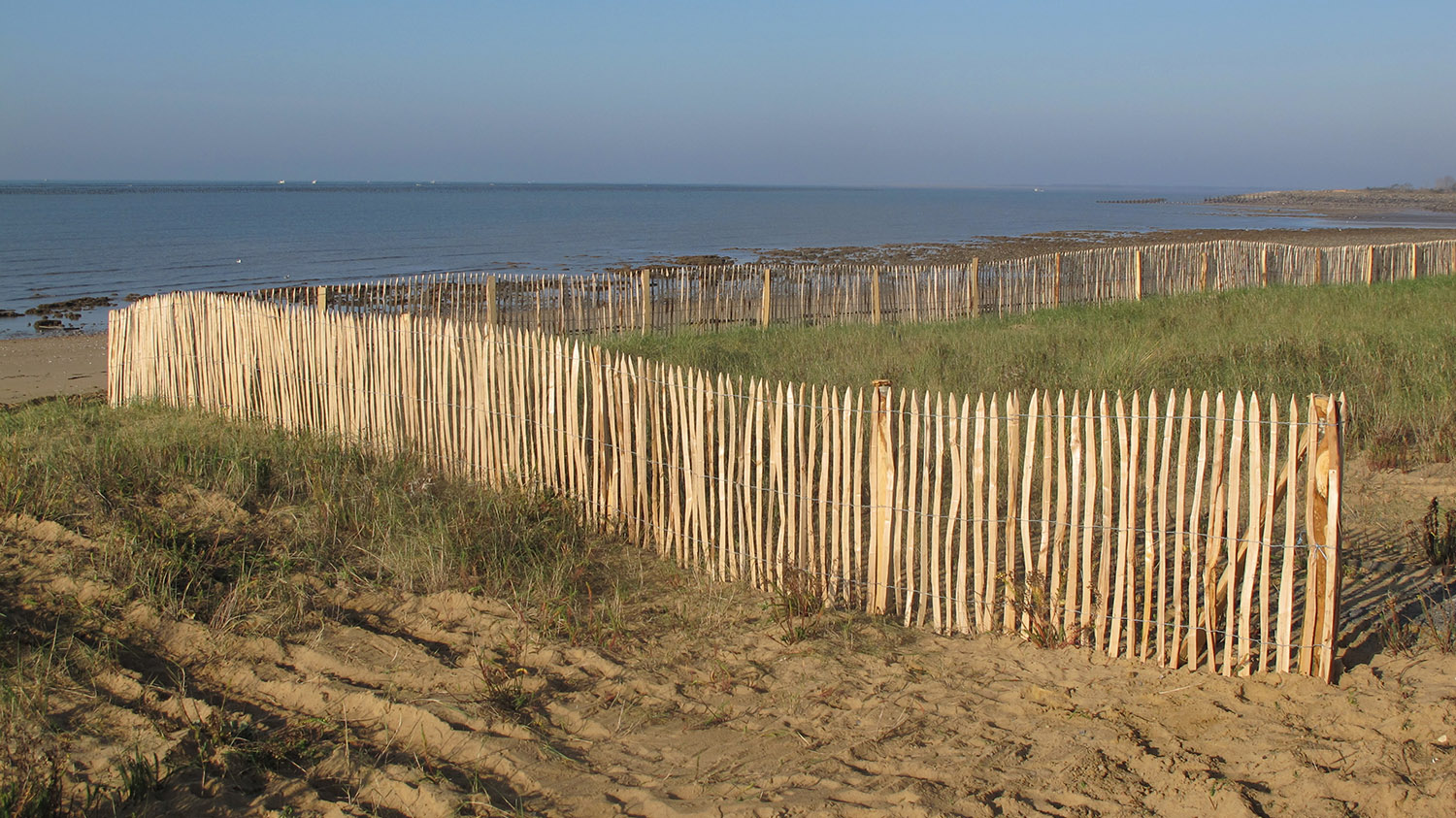 The Pointe de l'Aiguillon dune and its wooden fencing - Baie de l'Aiguillon LIFE